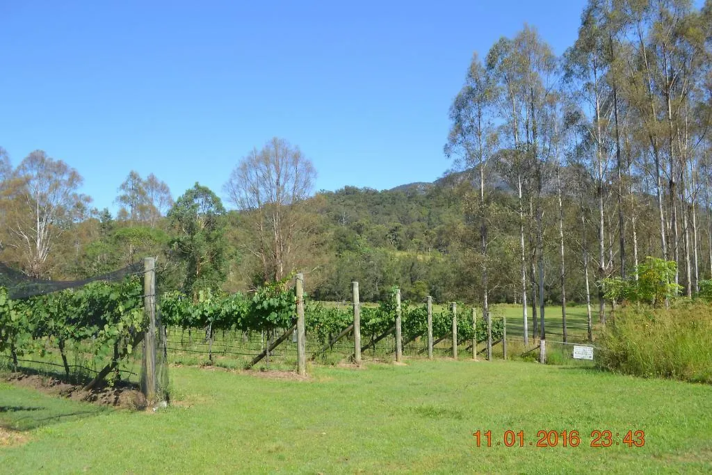Holiday park Barney Creek Vineyard Cottages Mount Barney