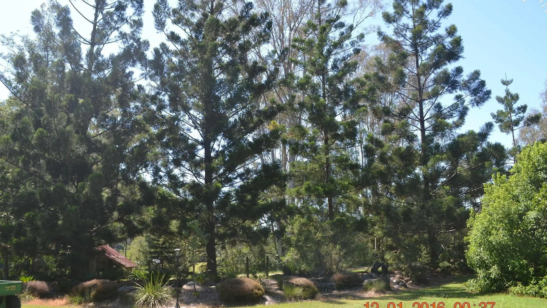Barney Creek Vineyard Cottages Mount Barney Australia