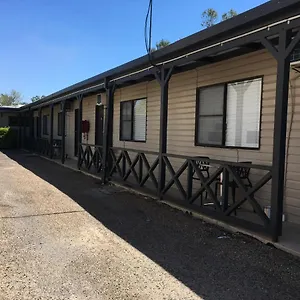 Pit Pony *** Collinsville