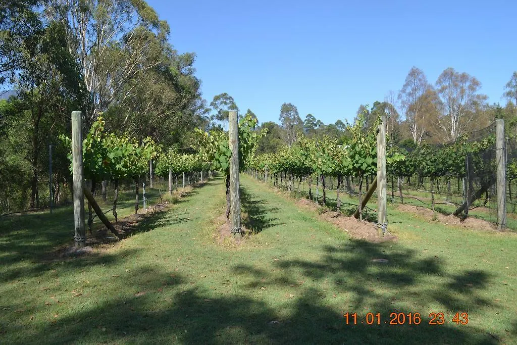 Barney Creek Vineyard Cottages Mount Barney Australia